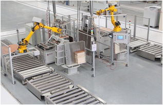 冯东明 未来工业图景中的人机融合与技术开发