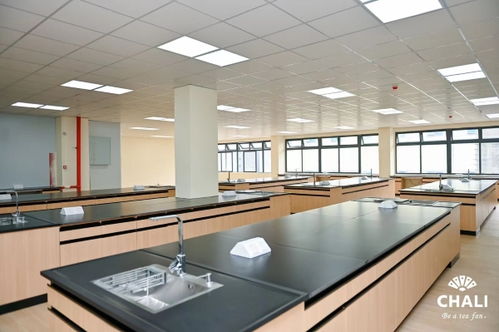 茶里集团南沙总部落成 引领中国高端袋泡茶标准化、工业化与科技化发展